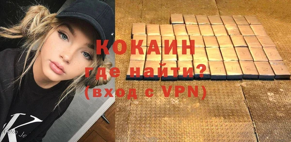 шишки Ельня