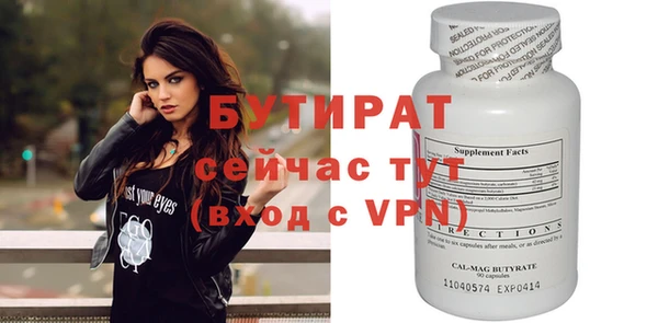 шишки Ельня