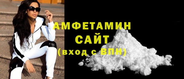 шишки Ельня