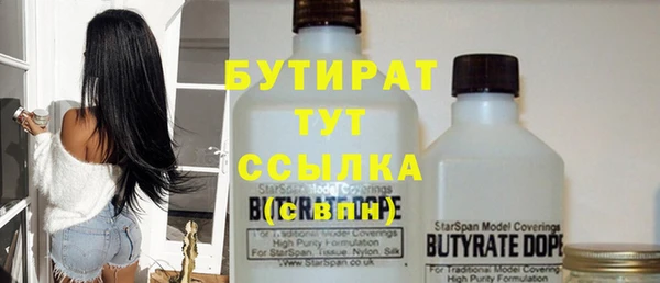 шишки Ельня
