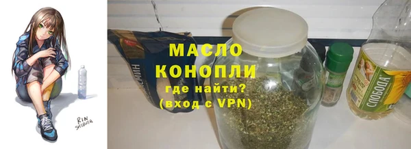 шишки Ельня