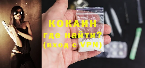 шишки Ельня