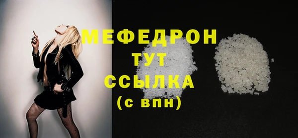 шишки Ельня
