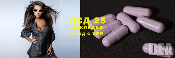 мяу мяу мука Елабуга