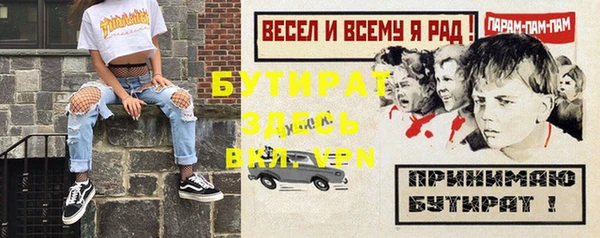 шишки Ельня