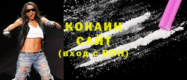 шишки Ельня