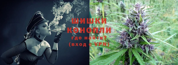 мяу мяу мука Елабуга