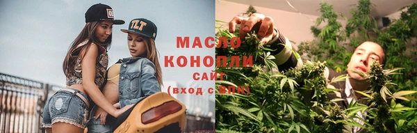 шишки Ельня