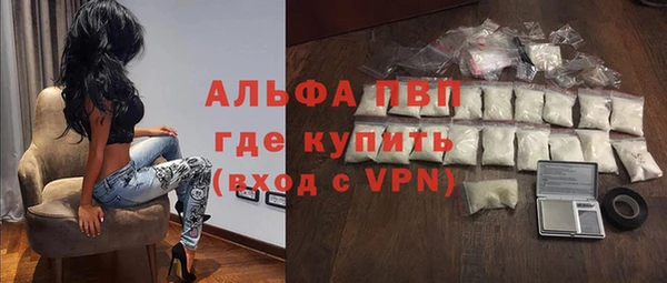 шишки Ельня